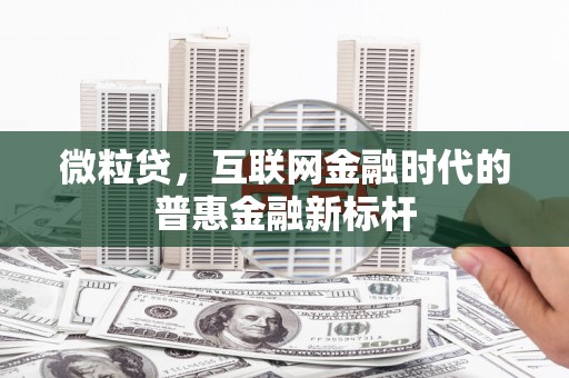 福建微粒贷，互联网金融时代的普惠金融新标杆