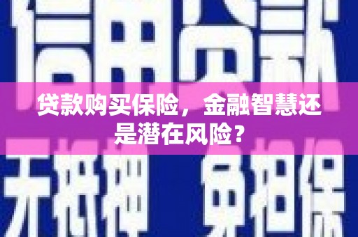 福建贷款购买保险，金融智慧还是潜在风险？