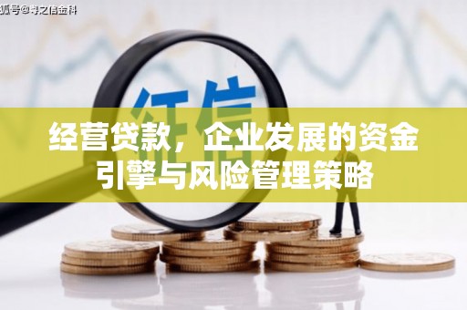 福建经营贷款，企业发展的资金引擎与风险管理策略