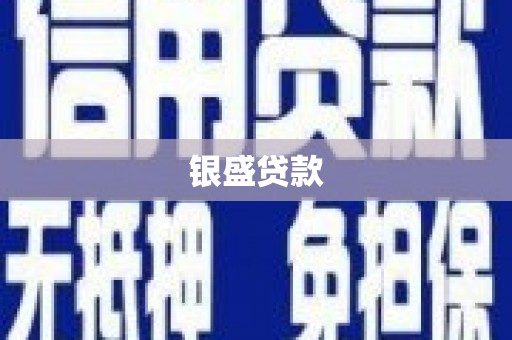 福建银盛贷款