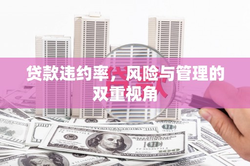 福建贷款违约率，风险与管理的双重视角