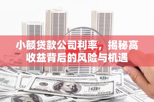 福建小额贷款公司利率，揭秘高收益背后的风险与机遇