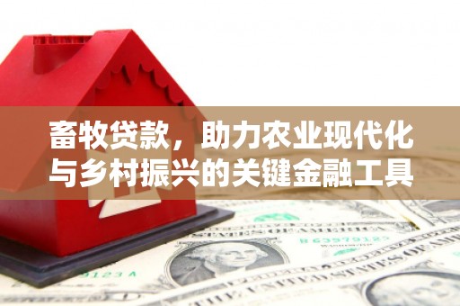 福建畜牧贷款，助力农业现代化与乡村振兴的关键金融工具