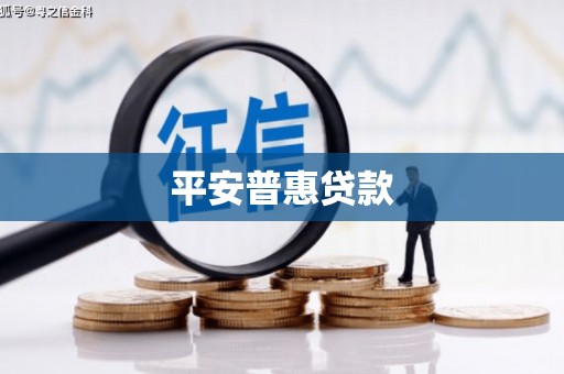 福建平安普惠贷款