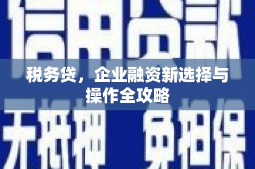 福建税务贷，企业融资新选择与操作全攻略