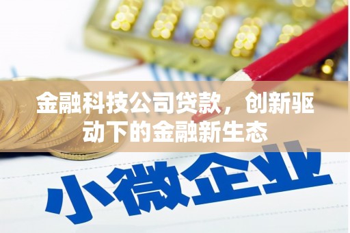 福建金融科技公司贷款，创新驱动下的金融新生态