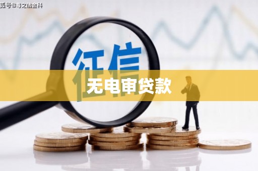 福建无电审贷款