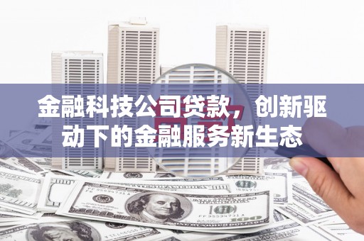 福建金融科技公司贷款，创新驱动下的金融服务新生态