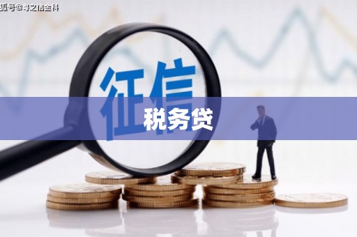 福建税务贷