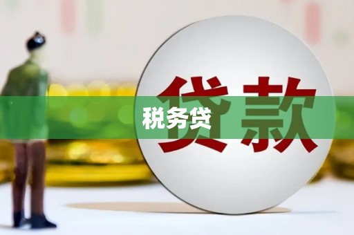 福建税务贷