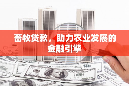 福建畜牧贷款，助力农业发展的金融引擎