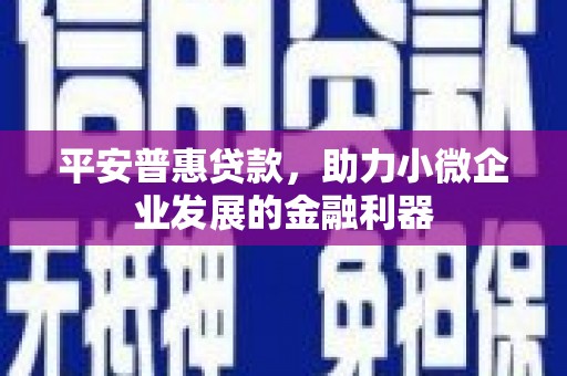 福建平安普惠贷款，助力小微企业发展的金融利器