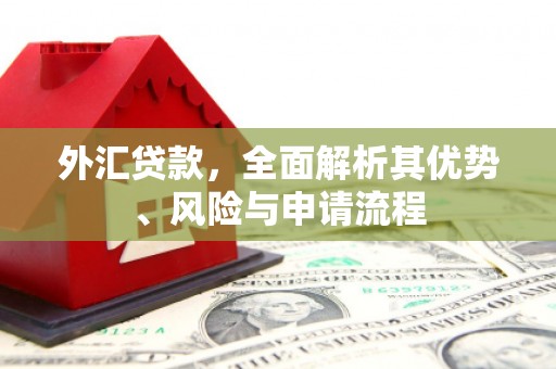 福建外汇贷款，全面解析其优势、风险与申请流程