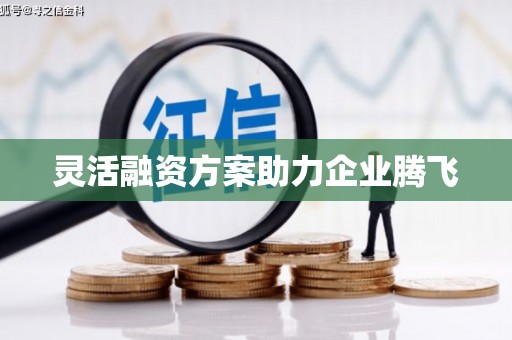 福建灵活融资方案助力企业腾飞