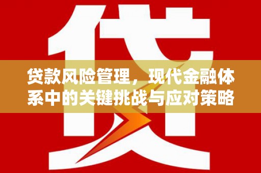 福建贷款风险管理，现代金融体系中的关键挑战与应对策略