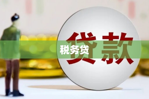 福建税务贷