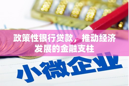 福建政策性银行贷款，推动经济发展的金融支柱