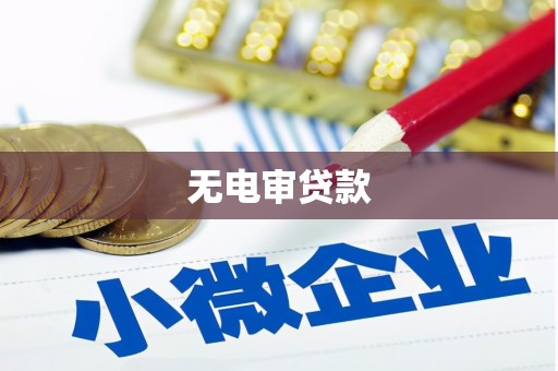 福建无电审贷款