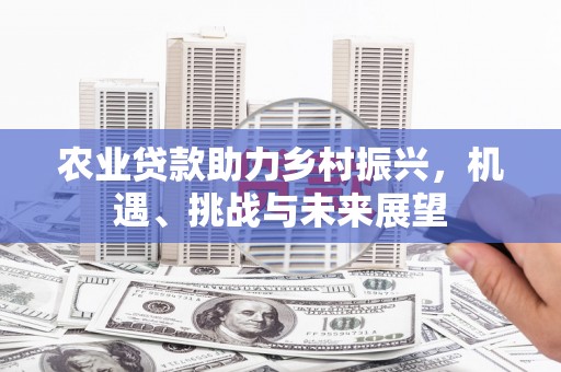 福建农业贷款助力乡村振兴，机遇、挑战与未来展望