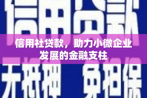 福建信用社贷款，助力小微企业发展的金融支柱