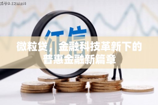 福建微粒贷，金融科技革新下的普惠金融新篇章
