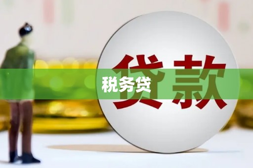 福建税务贷