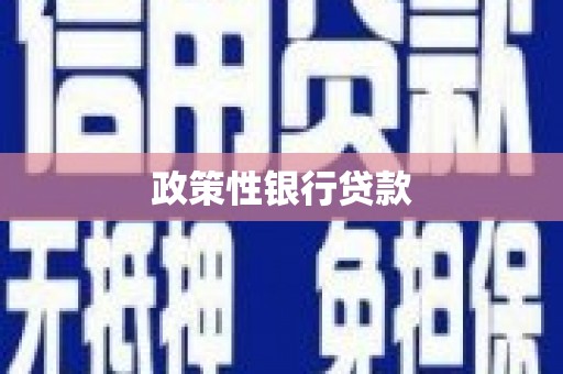 福建政策性银行贷款
