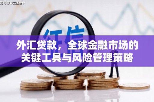 福建外汇贷款，全球金融市场的关键工具与风险管理策略