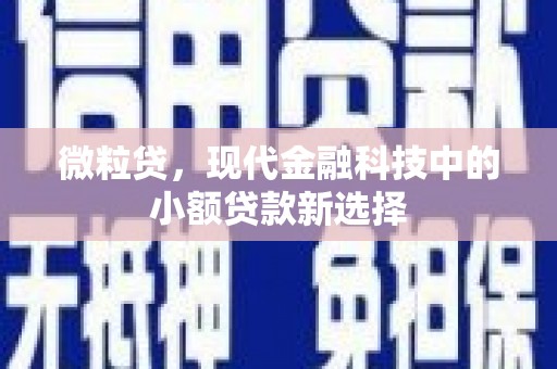 福建微粒贷，现代金融科技中的小额贷款新选择