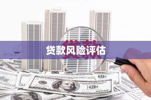 福建贷款风险评估