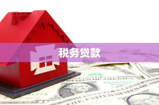 福建税务贷款