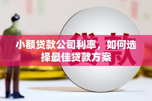 福建小额贷款公司利率，如何选择最佳贷款方案