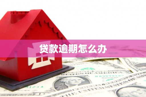 福建贷款逾期怎么办