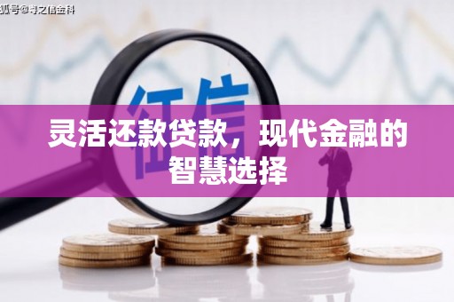 福建灵活还款贷款，现代金融的智慧选择