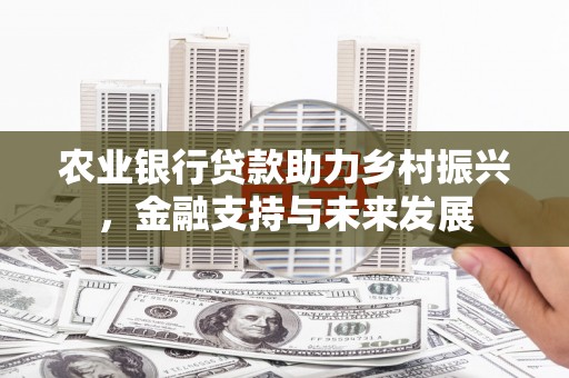 福建农业银行贷款助力乡村振兴，金融支持与未来发展