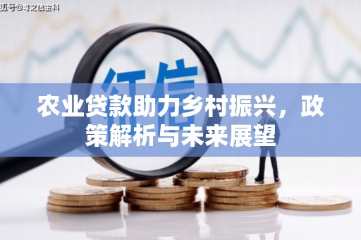 福建农业贷款助力乡村振兴，政策解析与未来展望