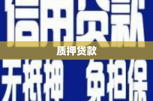 福建质押贷款