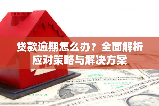 福建贷款逾期怎么办？全面解析应对策略与解决方案