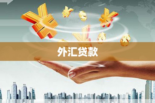 福建外汇贷款