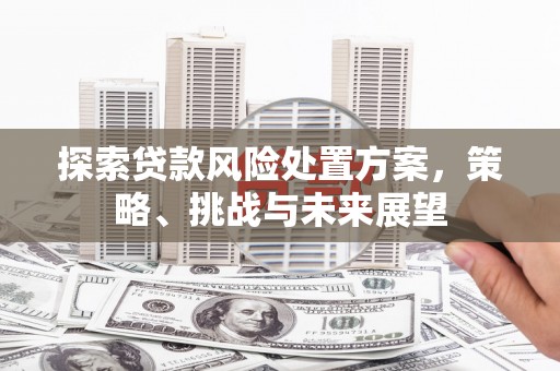 福建探索贷款风险处置方案，策略、挑战与未来展望