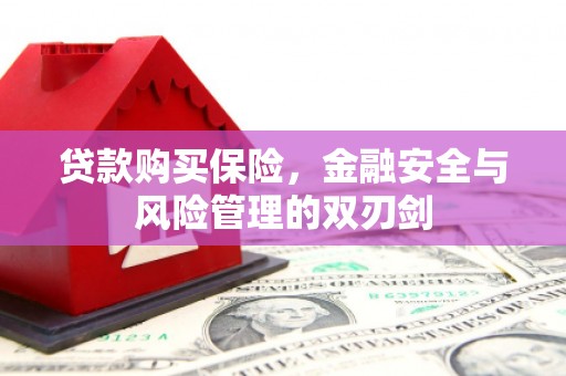 福建贷款购买保险，金融安全与风险管理的双刃剑