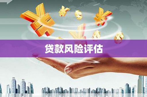 福建贷款风险评估