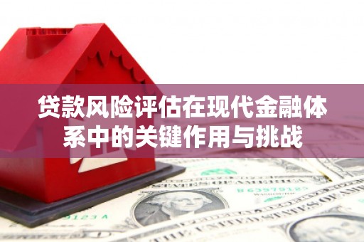 福建贷款风险评估在现代金融体系中的关键作用与挑战