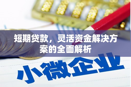 福建短期贷款，灵活资金解决方案的全面解析