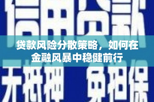 福建贷款风险分散策略，如何在金融风暴中稳健前行