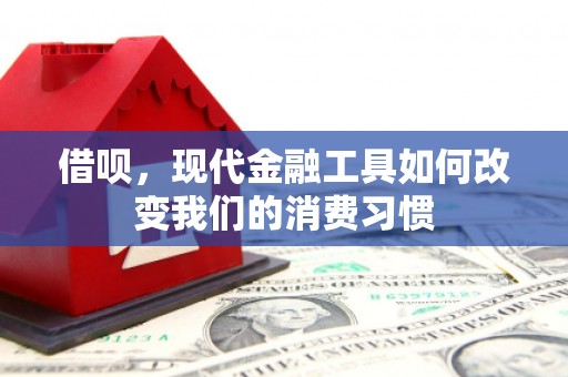 福建借呗，现代金融工具如何改变我们的消费习惯