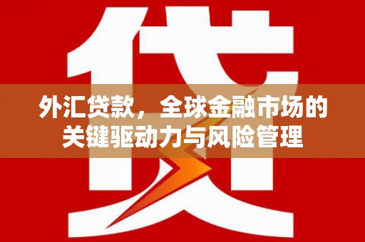 福建外汇贷款，全球金融市场的关键驱动力与风险管理