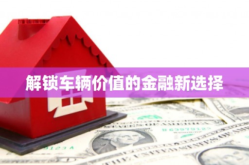 福建解锁车辆价值的金融新选择