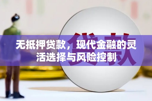 福建无抵押贷款，现代金融的灵活选择与风险控制