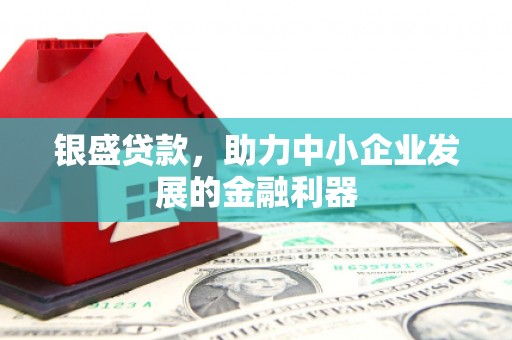 福建银盛贷款，助力中小企业发展的金融利器
